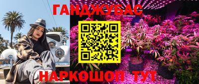 сатива Усть-Джегута