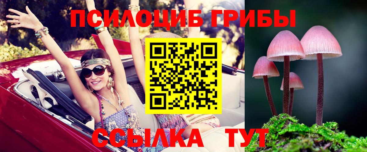 Псилоцибиновые грибы Psilocybe  Псилоцибиновые грибы MAGIC MUSHROOMS  Вход с VPN  сколько стоит  Орск 